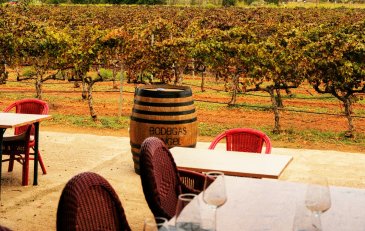 Enoturismo: eventos que combinan vino, gastronomía y cultura