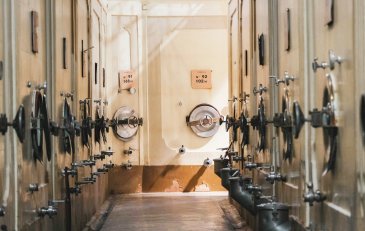 Fermentación alcohólica y maloláctica: qué son y para qué sirven