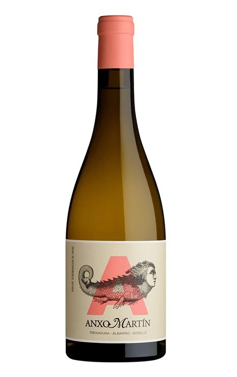 Anxo Martín Ribeiro