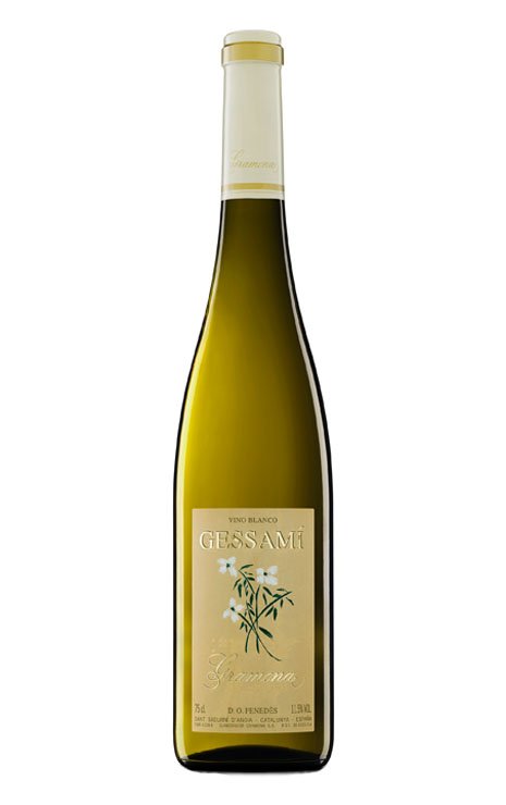 Gessami